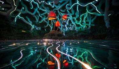 Neon mushrooms