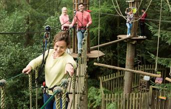 Go Ape Forest of Dean