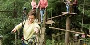 Go Ape Forest of Dean