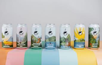 Lost and Grounded Brewers core range cans
