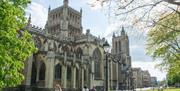 The Best Walking Tours Company - Bristol Cathedral - Dave Pratt