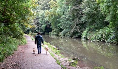 Walking along the river Frome - Oldbury Court and Snuff Mills Bristol
